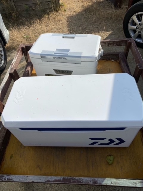 淡路島南あわじ市の釣り堀でマダイ・ハマチ・シマアジ釣果