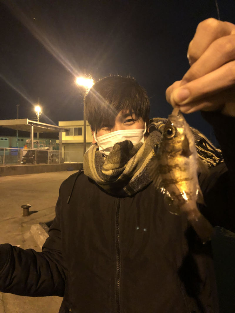 兵庫県明石港のSWライトゲームでメバル・ガシラ釣果