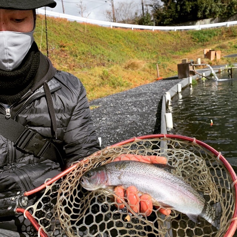 滋賀県 アクアヘブンの船釣りでニジマス釣果