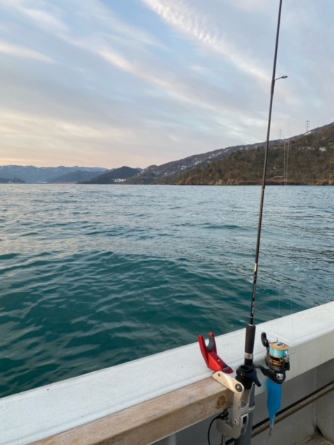 福井県大飯郡おおい町 田中渡船の船釣りでアジ釣果
