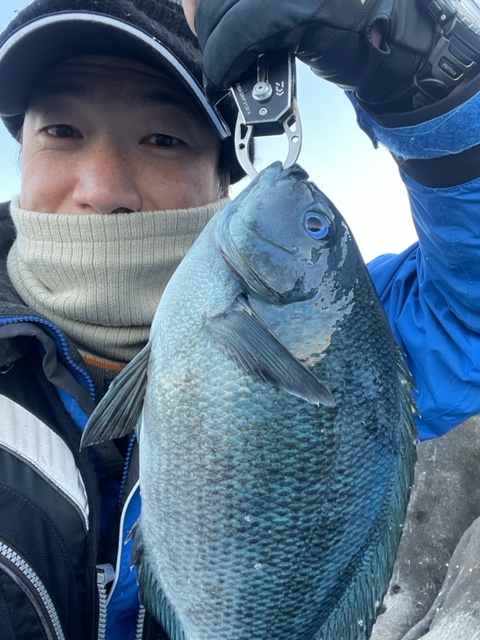 和歌山県すさみの磯釣りでグレ釣果