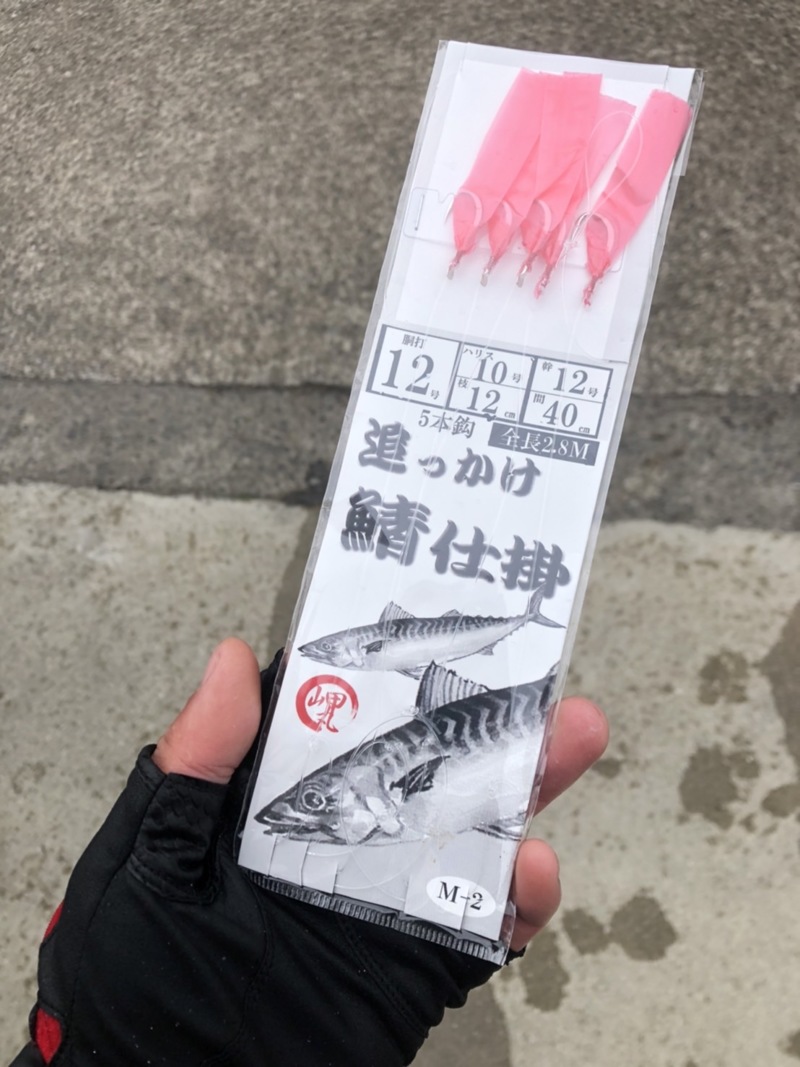 和歌山県中紀比井 岬丸の船釣りでサバ・ゴマサバ釣果