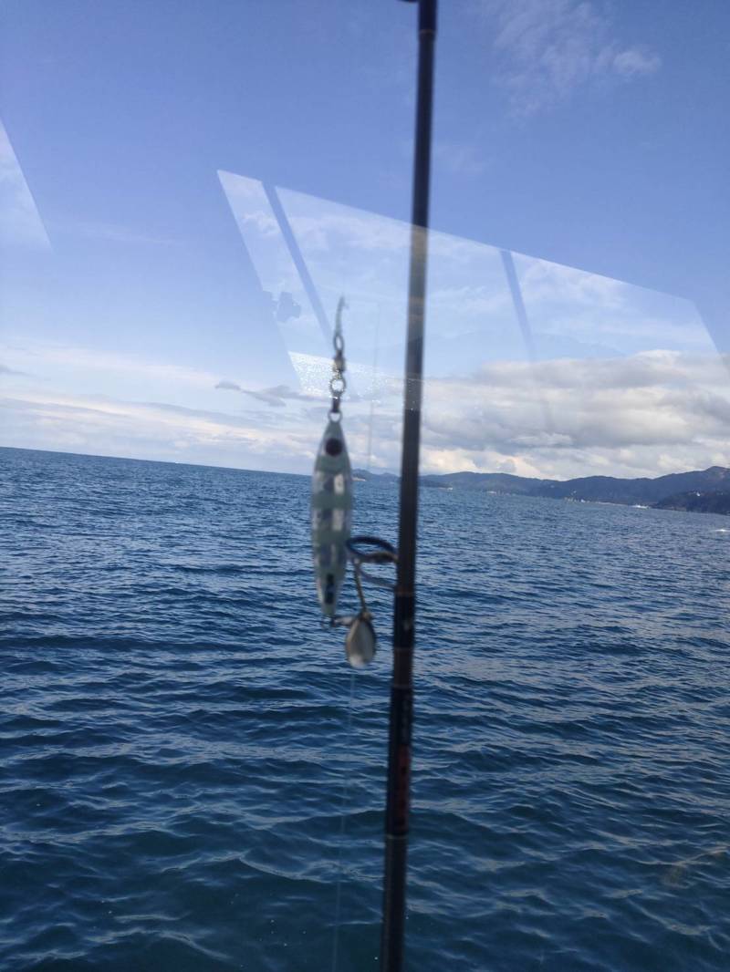 京都府舞鶴市Calmの船釣りでサワラ・サゴシ・レンコダイ釣果