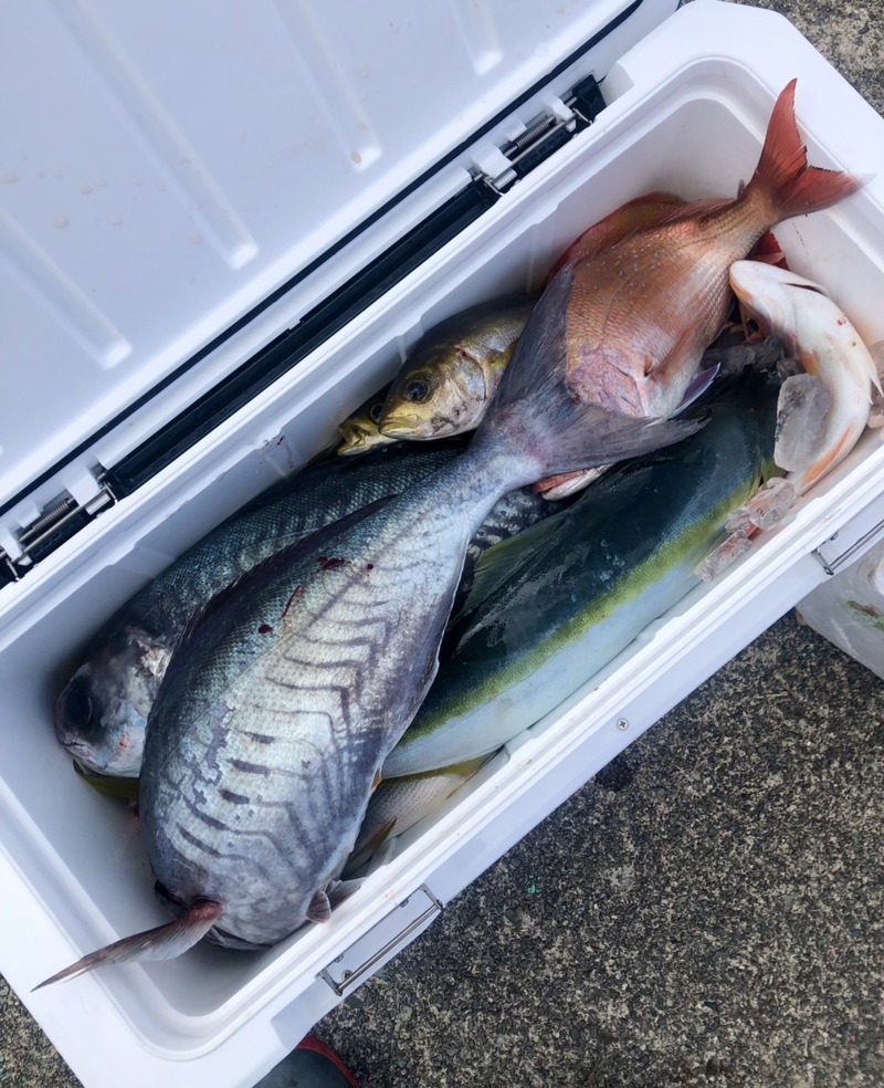 三重県二木島沖 三善丸の船釣りで真鯛・目鯛釣果