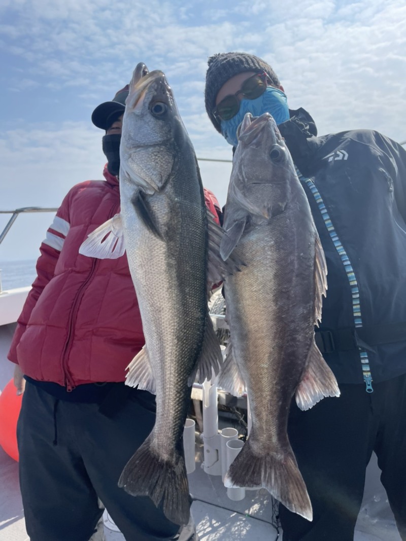 京都府舞鶴市ENSのジギングでアラ・タヌキメバル釣果