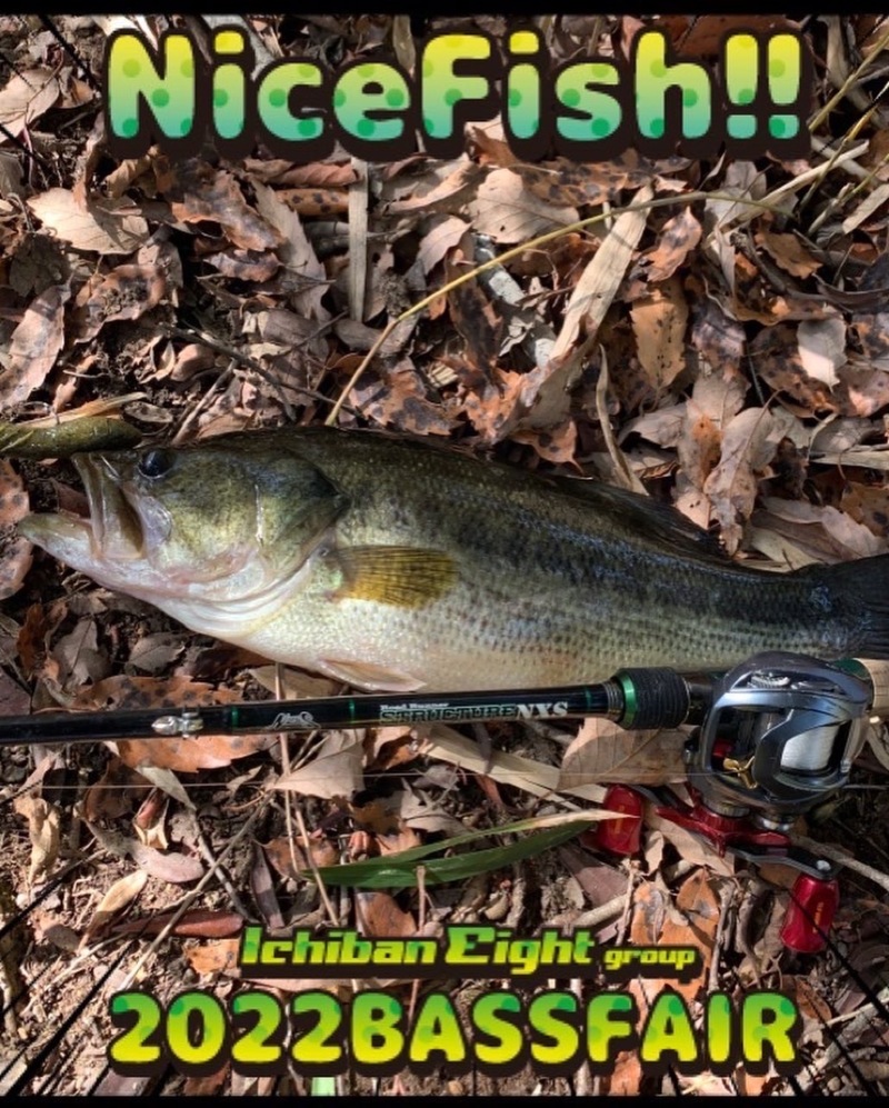 兵庫県淡路島のルアーでブラックバス釣果