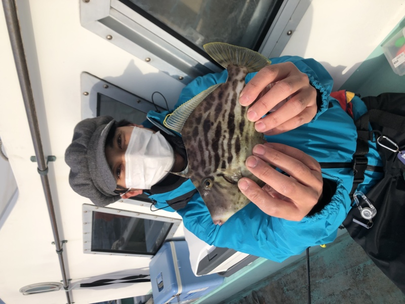 和歌山県 あしのや丸の船釣りでカワハギ釣果