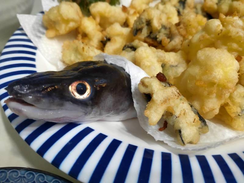 和歌山県 南紀の磯釣りでクロアナゴ釣果