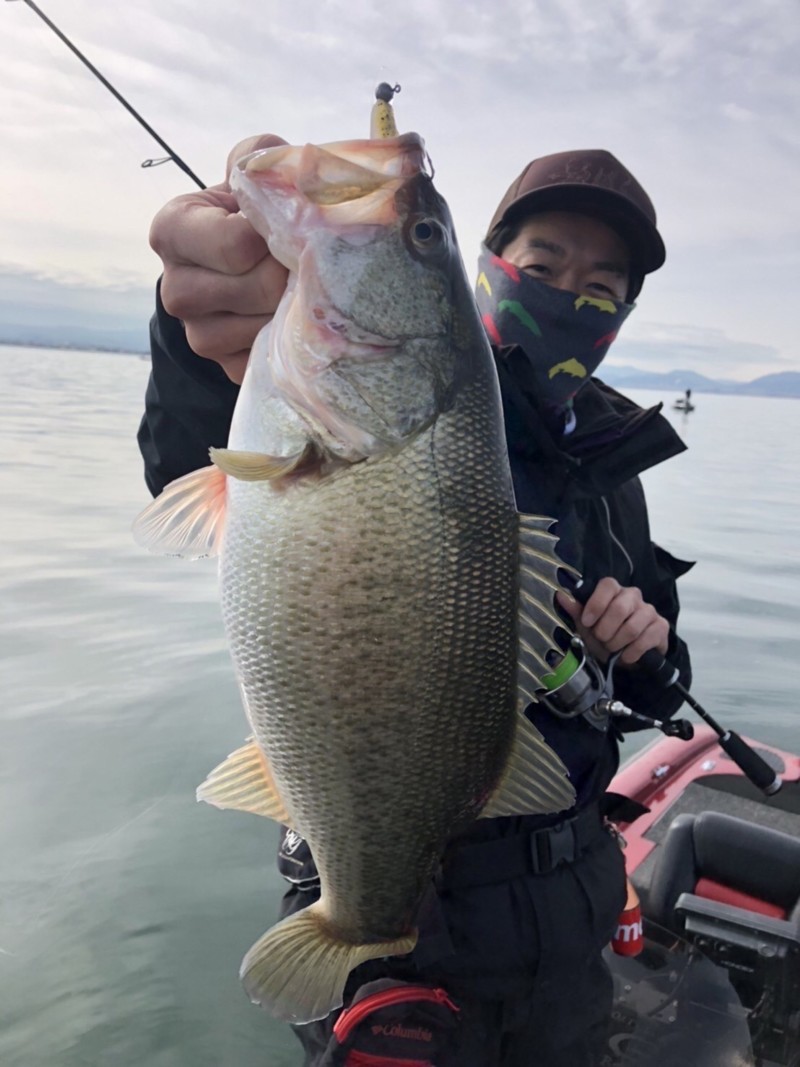滋賀県琵琶湖 南湖のルアーでブラックバス釣果