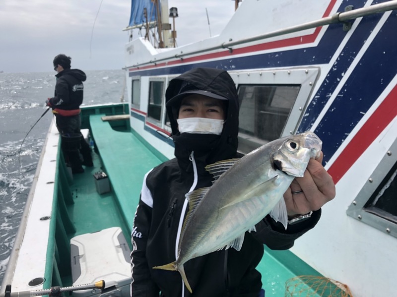 和歌山県湯浅町 ニュー紀南丸の船テンビンでアジ釣果
