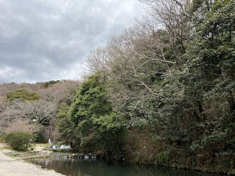 静岡県裾野フィッシングパークのエリアトラウトでニジマス釣果