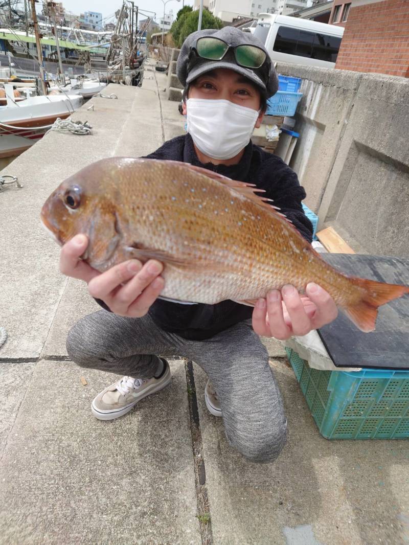 兵庫県明石市のタイラバでマダイ釣果