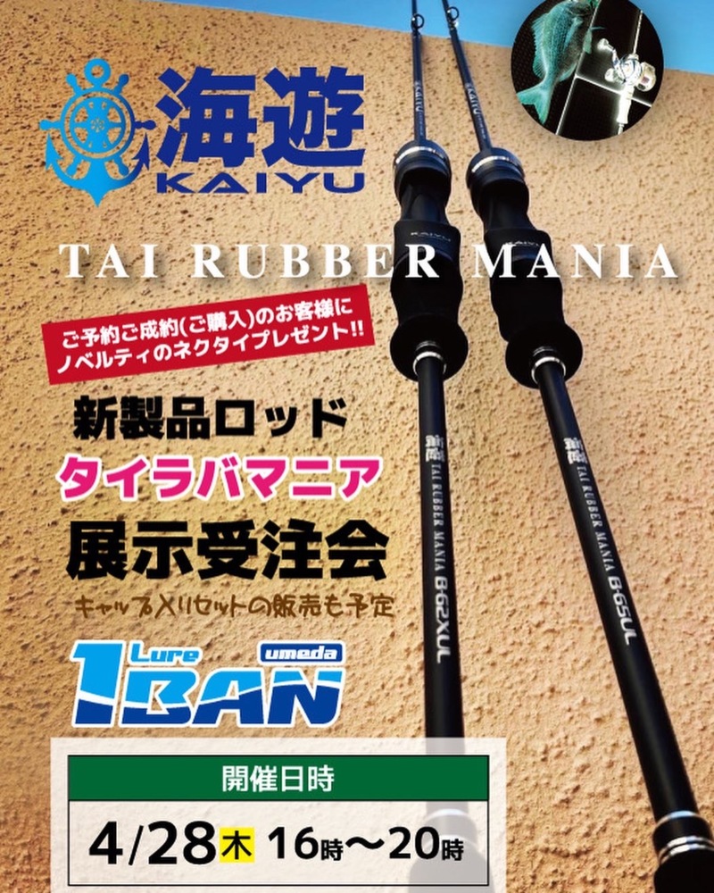 兵庫県明石市二見町 海豚の船釣りで鯛釣果