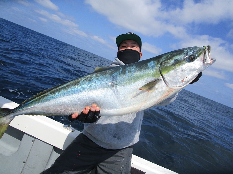 京都府丹後 舞鶴ノースポイントの船釣りでブリ釣果