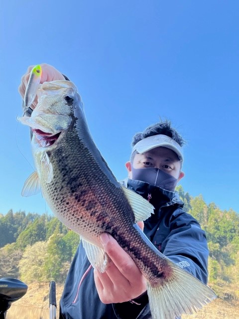 奈良県高山ダムのルアーフィッシングでブラックバス釣果