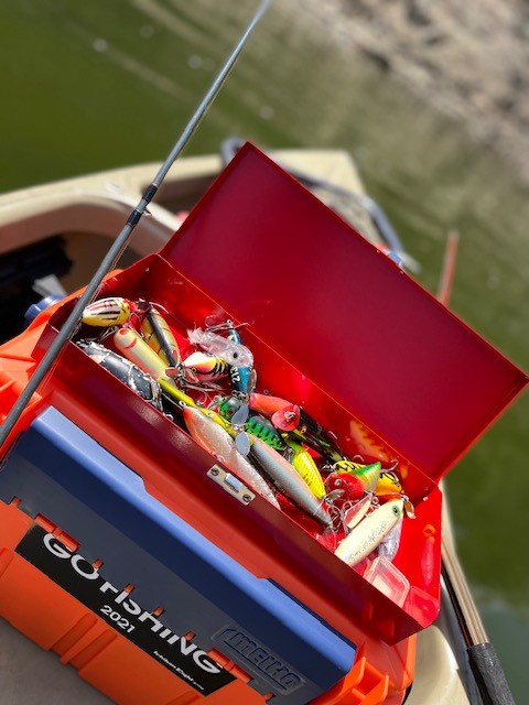 奈良県高山ダムのルアーフィッシングでブラックバス釣果