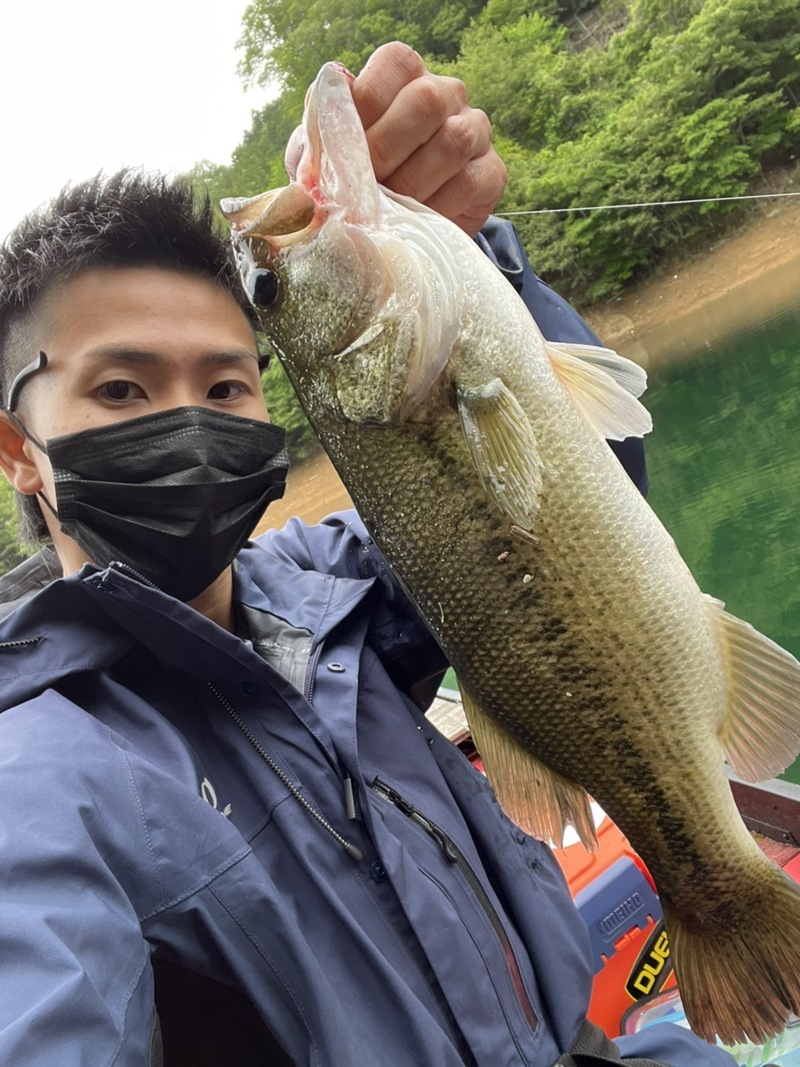 春の日吉ダム釣行!