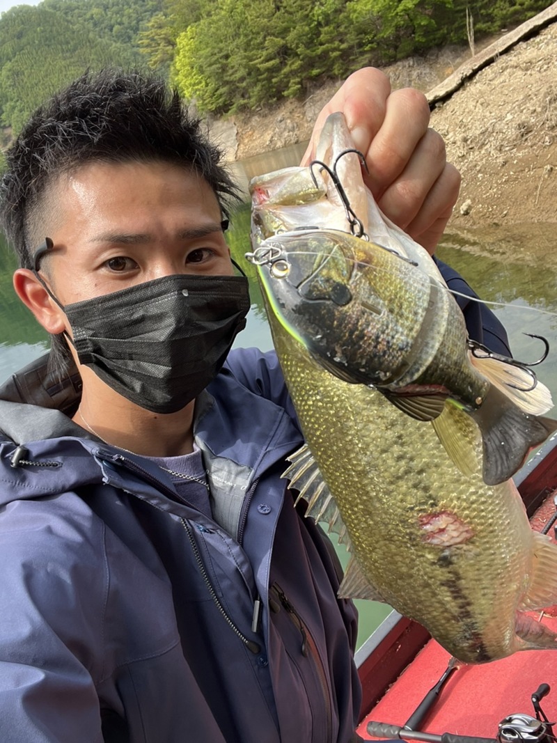 春の日吉ダム釣行!