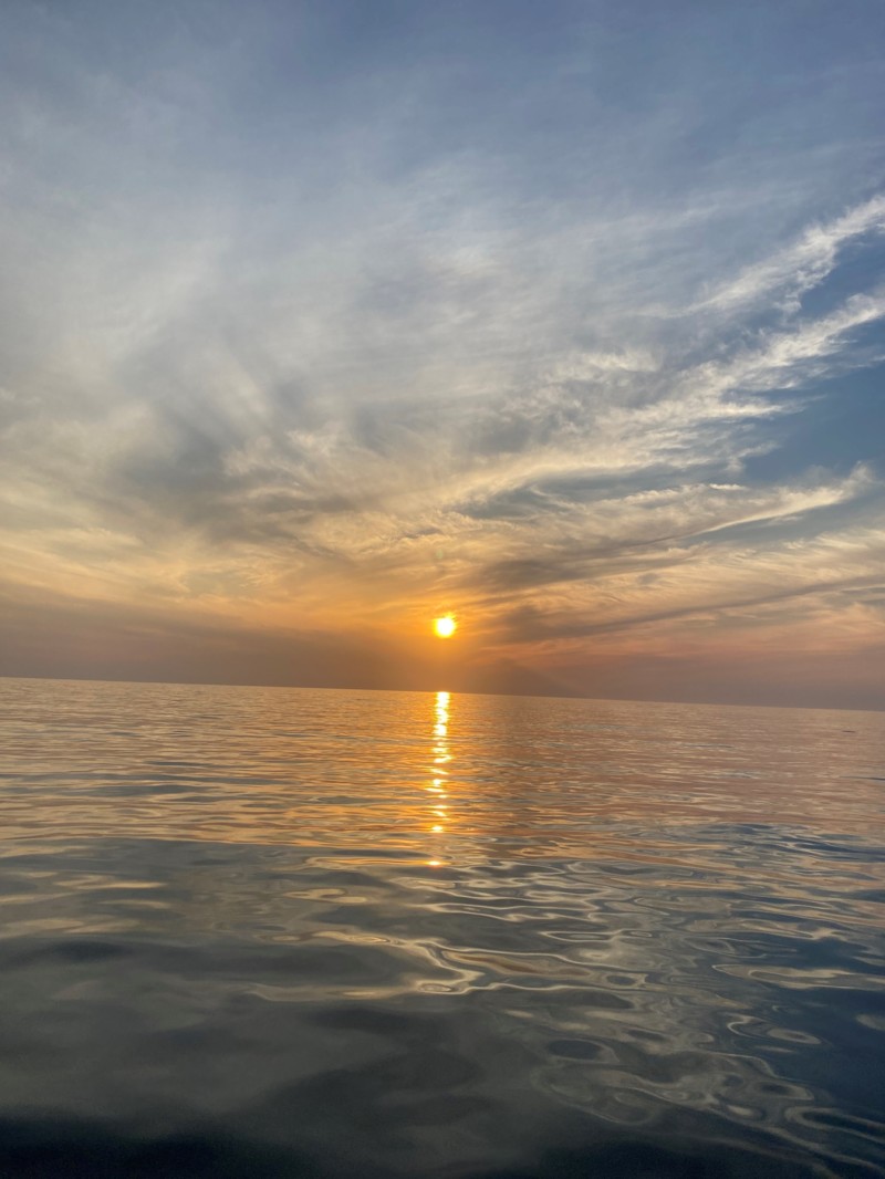 2022年イカメタル