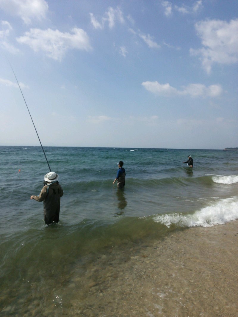 滋賀県湖西北小松・淡水ウキ釣り・びわ湖小鮎5回戦