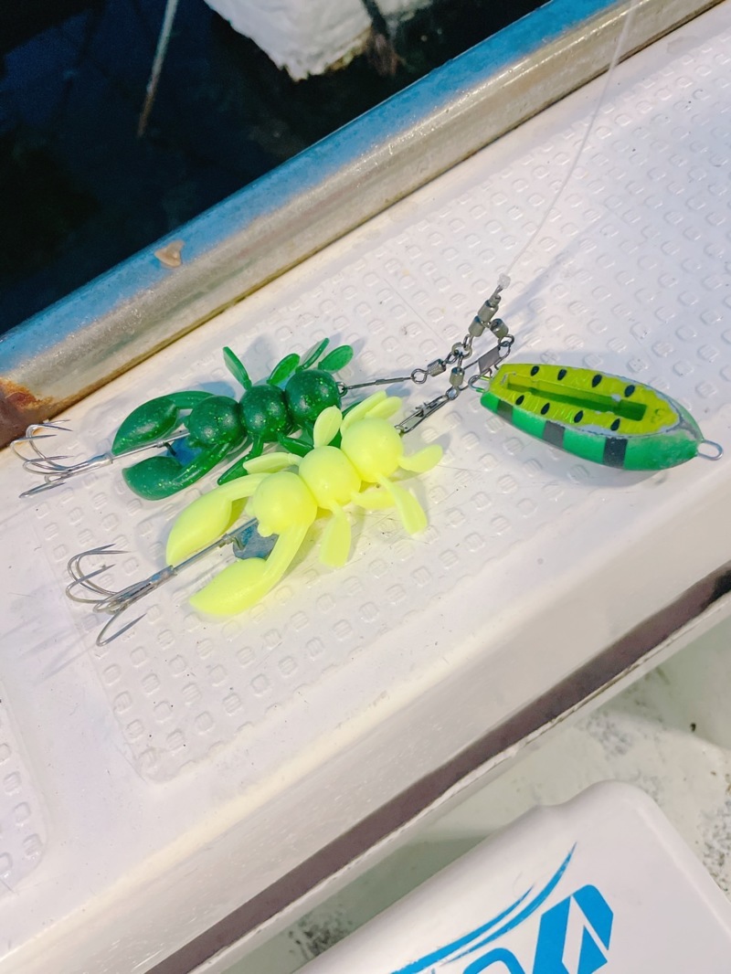 明石のタコを求めて!!