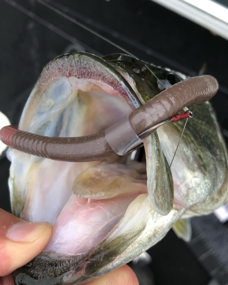 梅雨入りの池原ダム