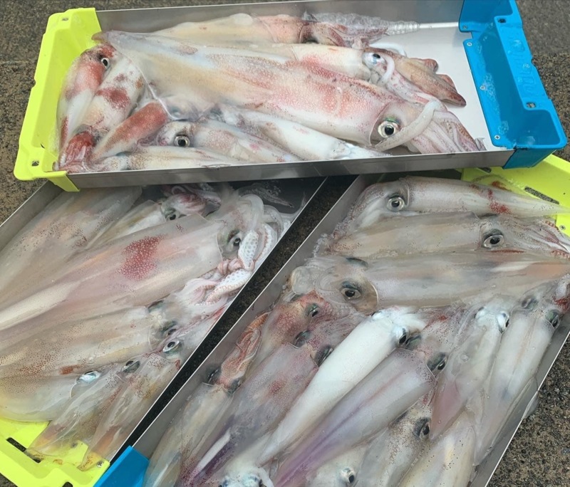 大剣狙いの鳥取釣行