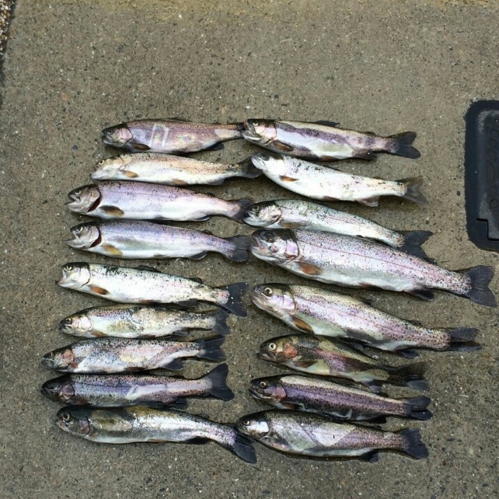 「滋賀県」朽木渓流魚センター|ヤマメ イワナ ニジマス等