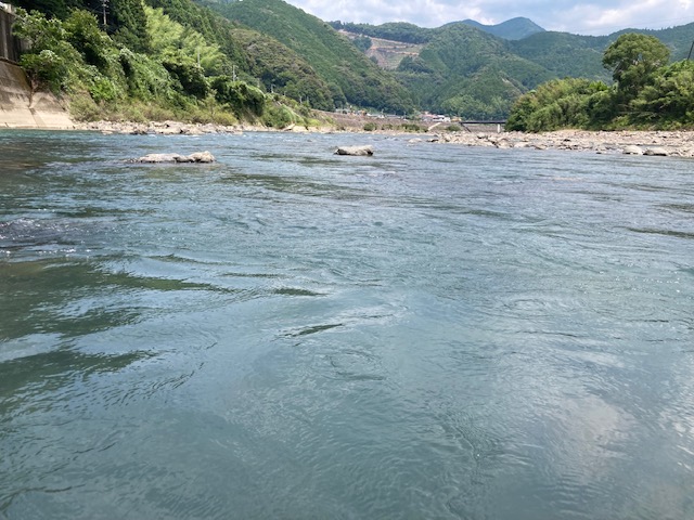 日高川 下げ水狙いの友釣り釣行