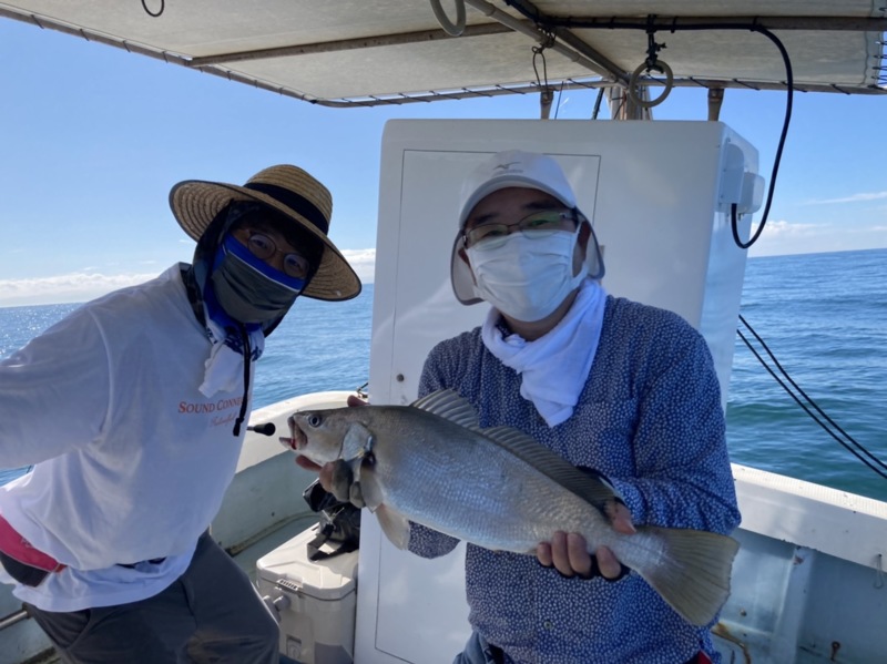 兵庫県沼島の落し込み