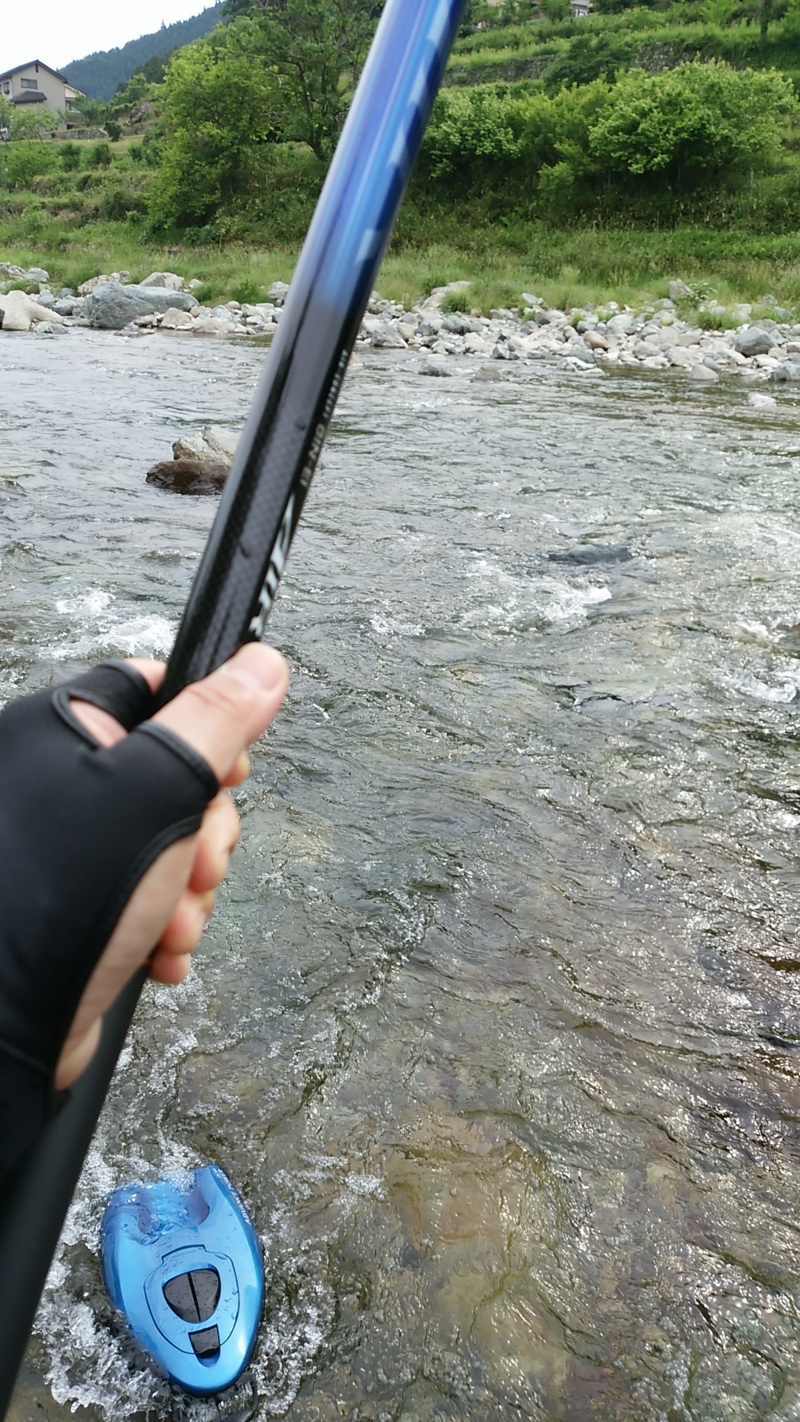 「兵庫県 揖保川」の鮎釣り5匹釣果