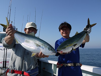 日本海・舞鶴|ジギング・青物、根魚の釣果