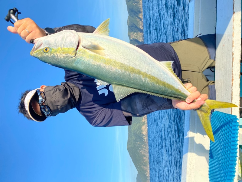 徳島落し込みカンパチ