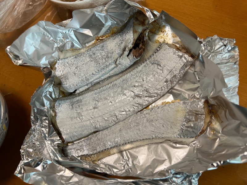 アジュール舞子で太刀魚調査