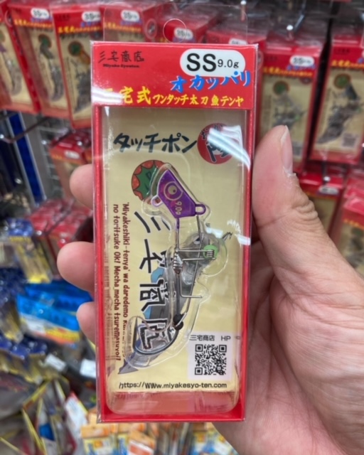 今期2度目!波止太刀魚釣り