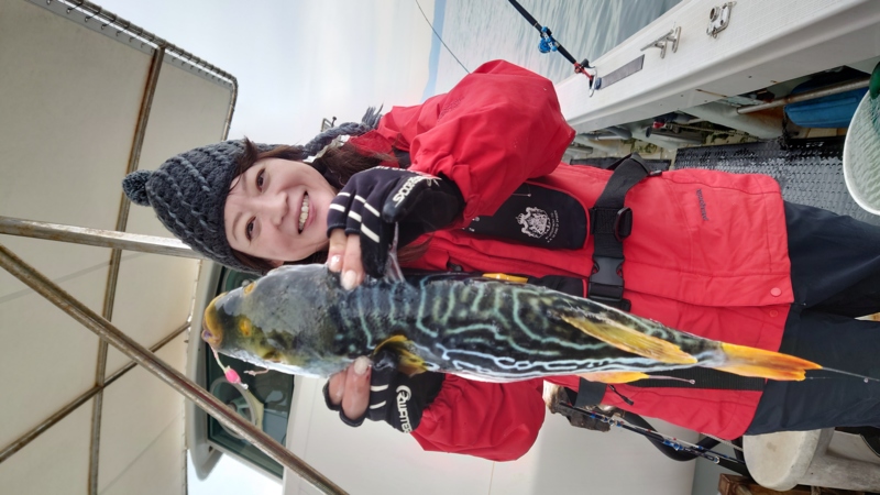 フグシーズン開幕!!