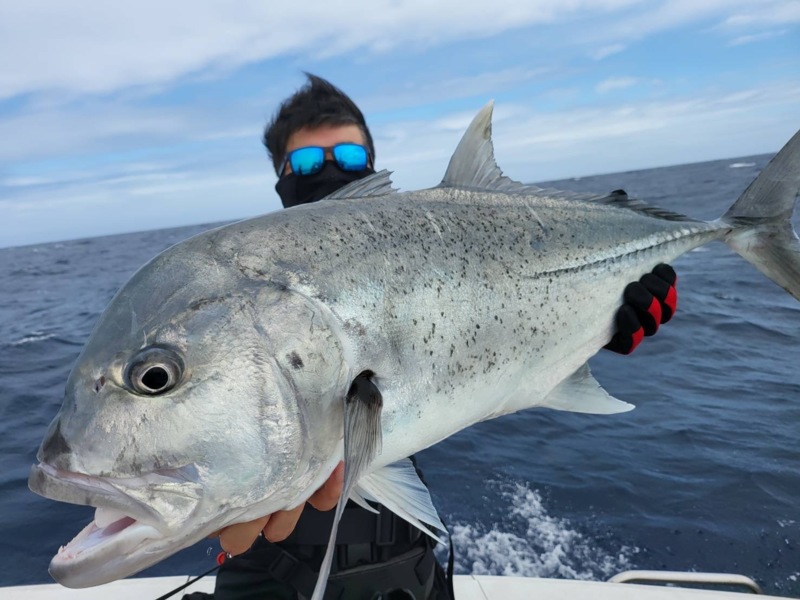 奄美大島ビッグディッパーツアー