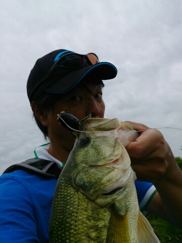 兵庫県東播野池群|ルアー・バス釣果