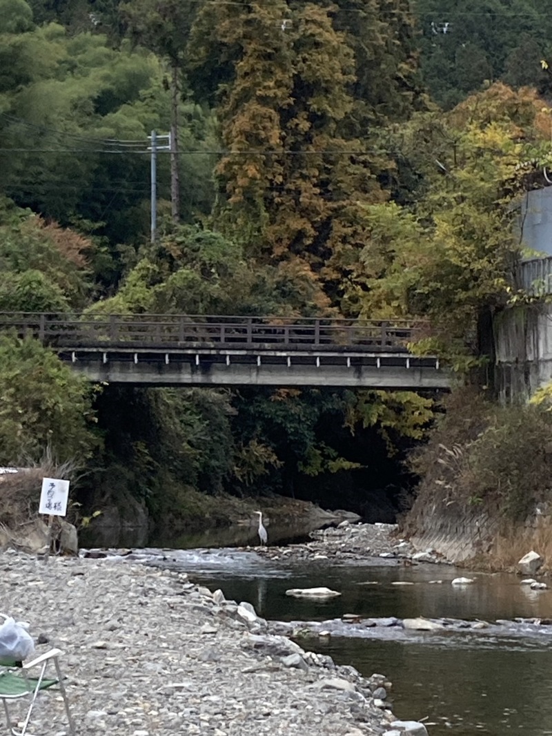 芥川トラウト釣行