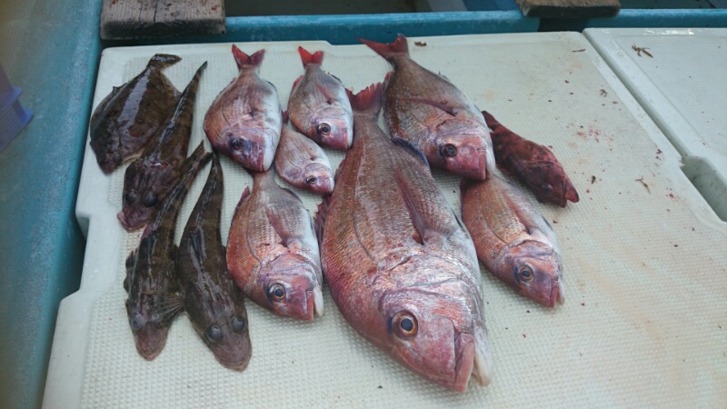 鳴門タイラバ釣行