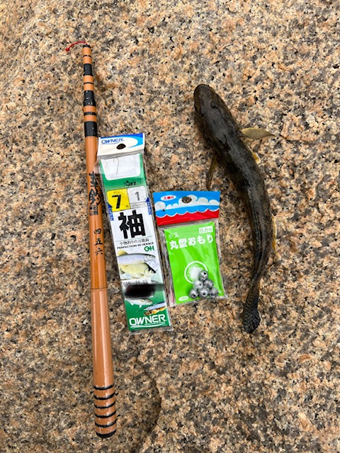 アーバンフィッシング淀川鯊Ⅱ