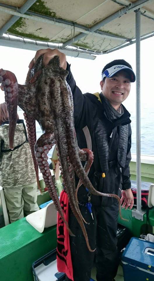 兵庫県明石沖|船タコ(エギ)・タコ釣果