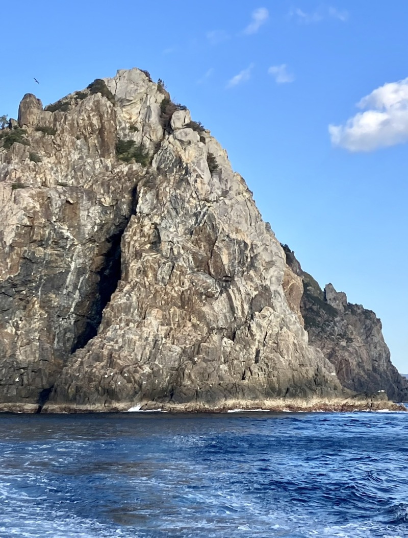 高知柏島 底物&上物