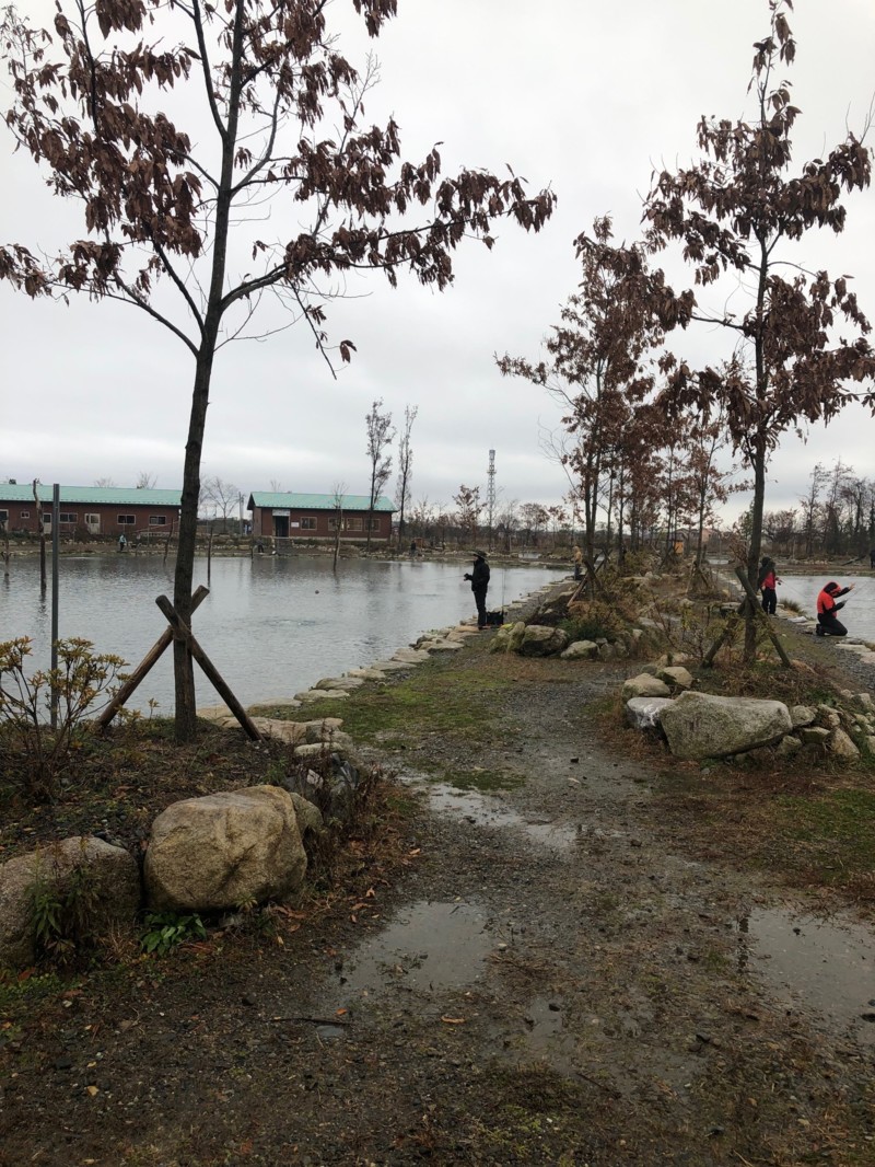 イトウも出た!高島の泉
