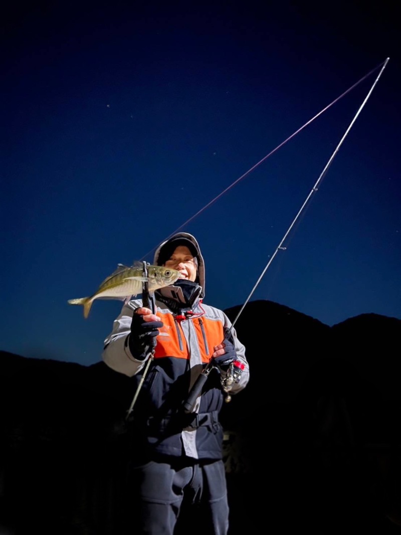 和歌山オカッパリのアジングでシラスパターンにてアジ釣果