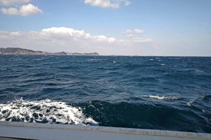 徳島県阿南の船釣りでカワハギ釣果