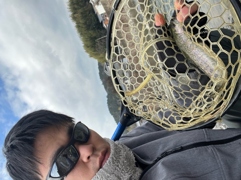 大阪府高槻市の芥川マス釣り場にてルアーでニジマス、アマゴ釣果