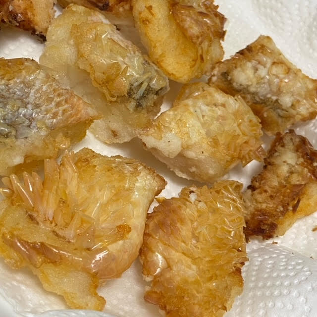 和歌山県海南市よりボートのアマラバでシロアマダイ、青物釣果