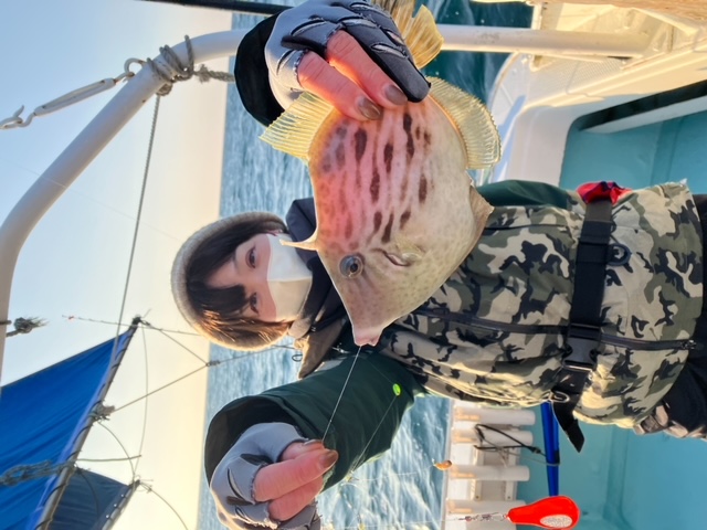 徳島県阿南の船釣りでカワハギ釣果