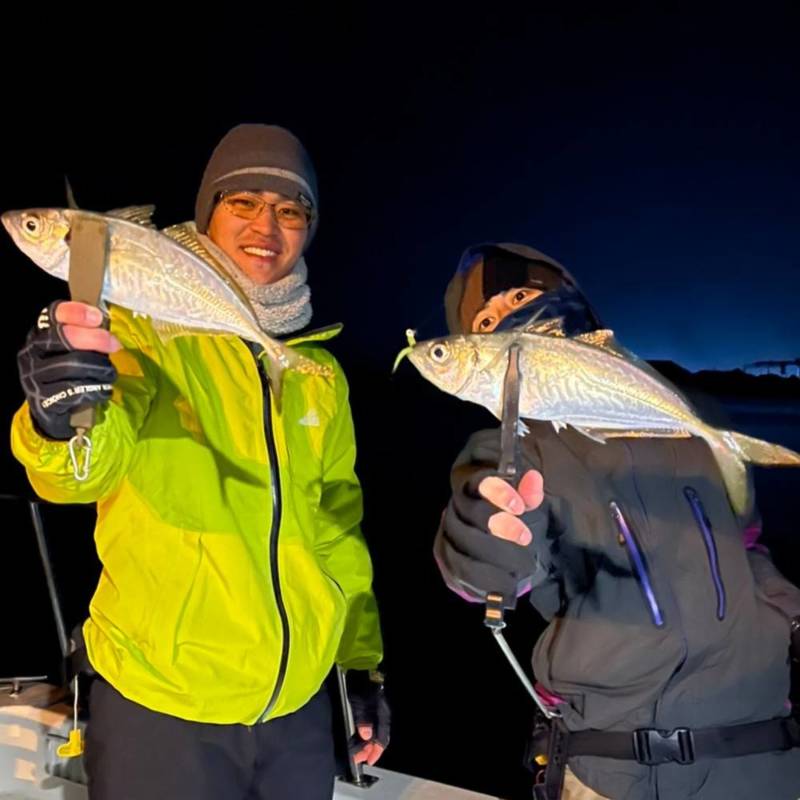 和歌山市にて極寒のボートアジングでマアジ釣果